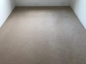 Broadloom Carpet - Quest Pluto Design - Superfloors Sydney