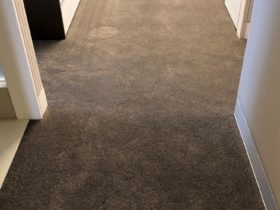 Broadloom Carpet - Quest Pluto Design Luxury Apartment - Superfloors Sydney